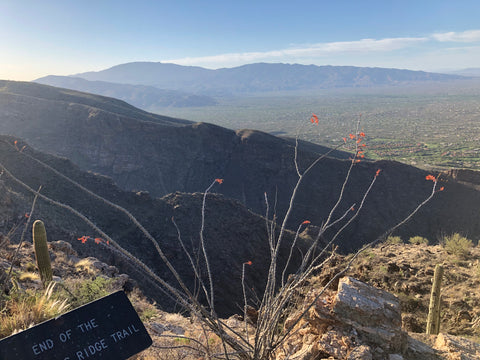 How are Hiking and Math similar?